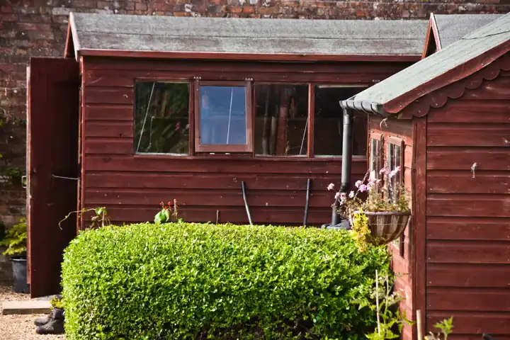 Abri de jardin en bois à bardage rouge, fenêtres en façade, devant une haie taillée