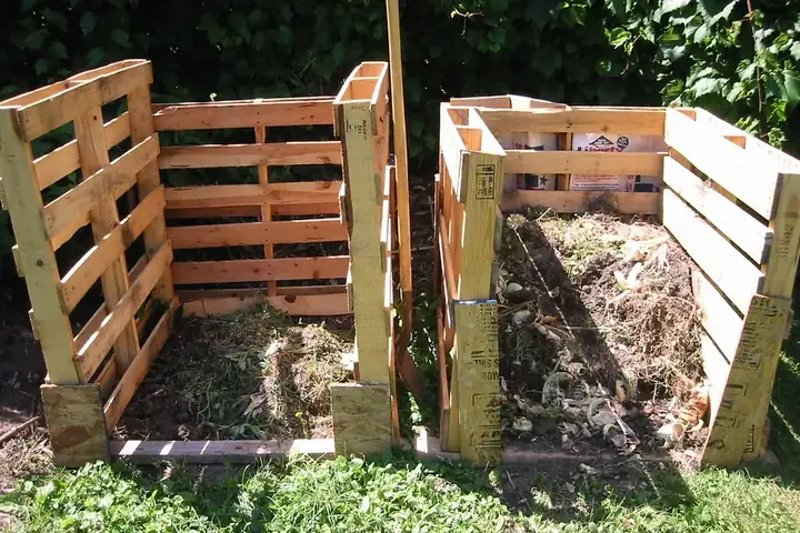 Deux bacs à compost fabriqués en palettes de bois, dans un jardin