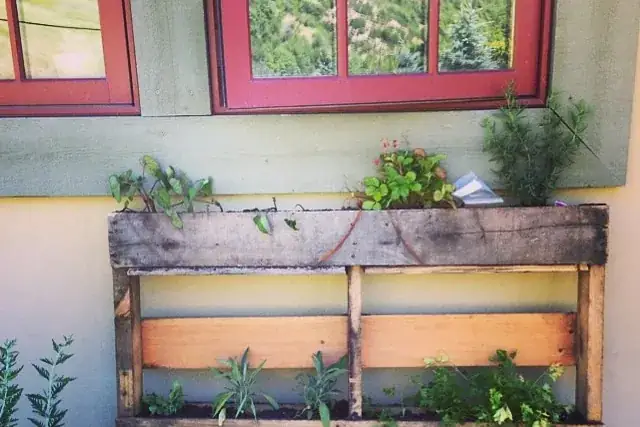 Palette en bois transformée en jardinière murale plantée d'aromatiques
