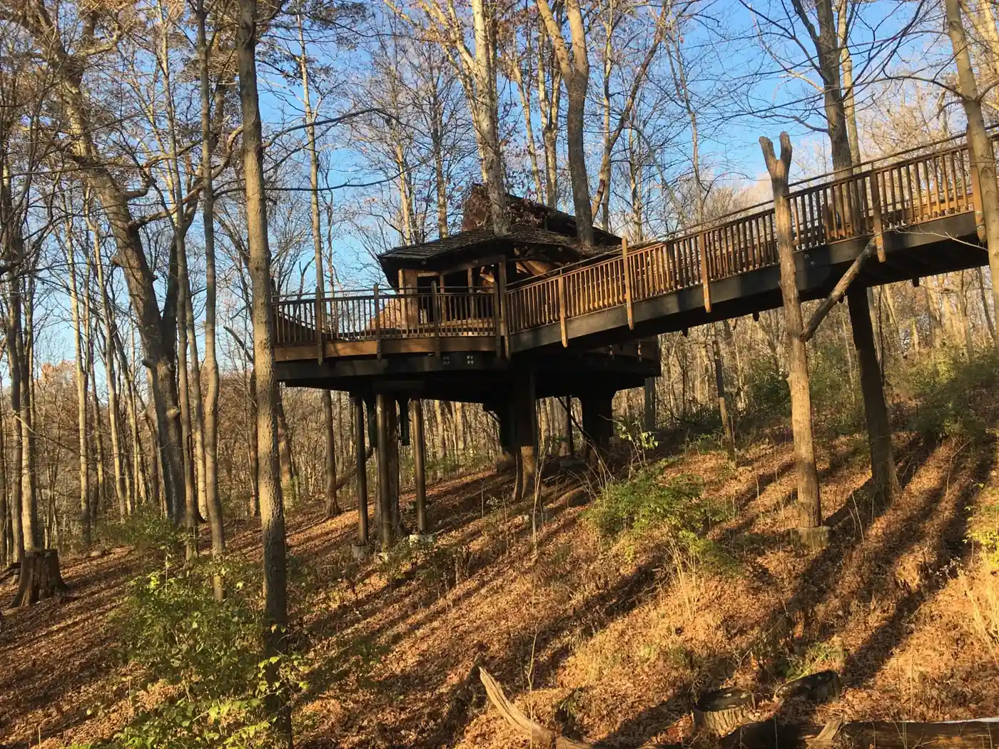 Cabane perchée en bois sur pilotis dans un sous-bois, reliée au terrain par une passerelle à garde-corps