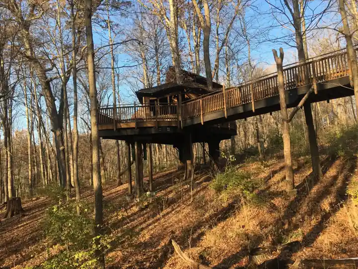 Cabane perchée en bois sur pilotis dans un sous-bois, reliée au terrain par une passerelle à garde-corps